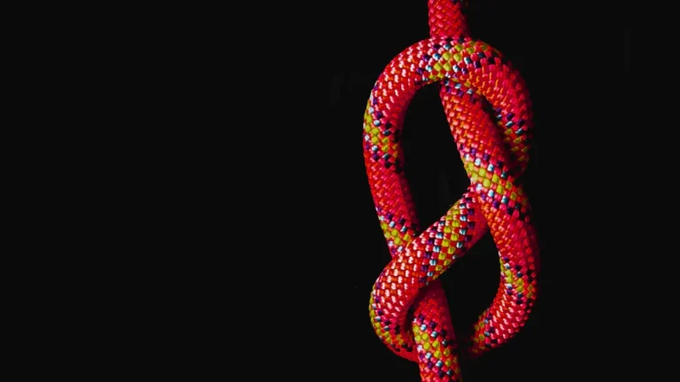 Basic Fishing Knots Every Beginner Should Learn