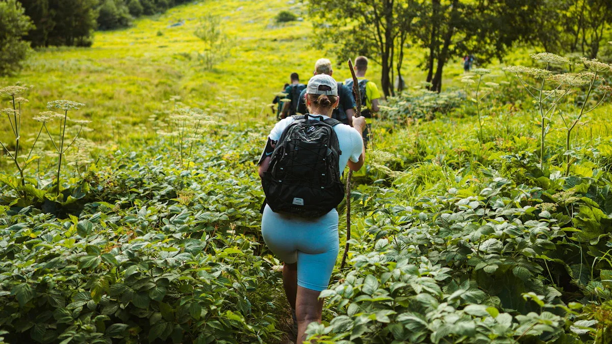 Hiking Guide for Beginners: Trails, Gear & Safety Basics