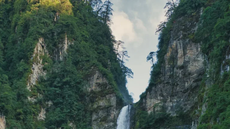 Leave No Trace Camping Principles Explained