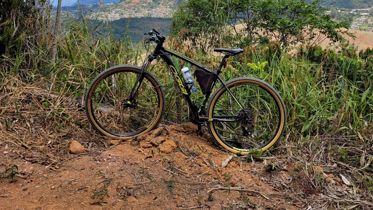 Trail Features for Beginners